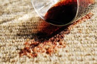 Zap Clean   Carpet and Upholstery Cleaning 352155 Image 4